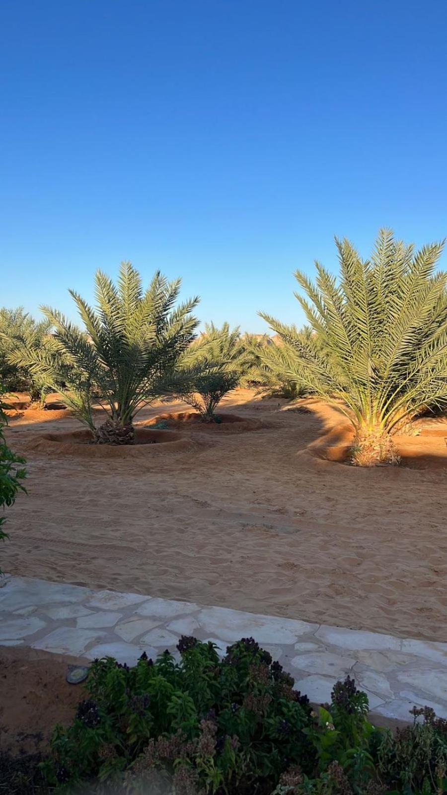 منتجع إستكنان The Quite 2 Apartment Al Ula Exterior photo